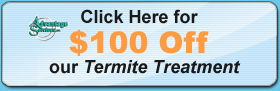 $100 Off Termite Treatment