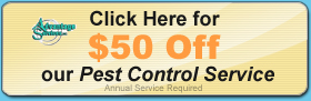 $50 Off Pest Control Service