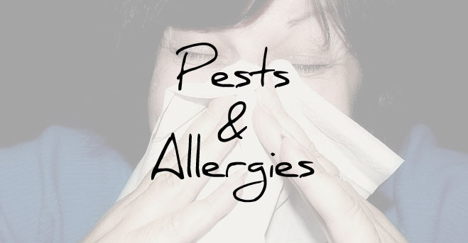 Pests & Allergies