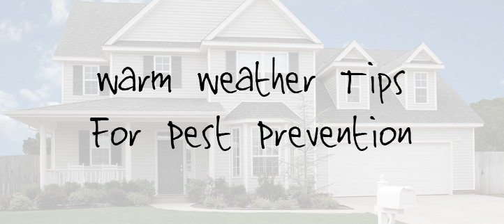 Warm Weather Tips for Pest Prevention