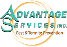 Advantage Services Inc.